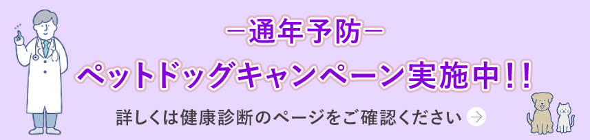 ペットドックキャンペーン実施中
