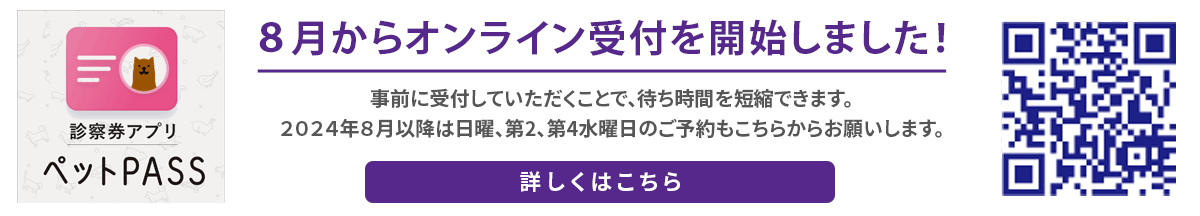 8月からオンライン受付を開始します！